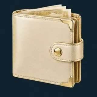 Leather wallet — Wolf Winner