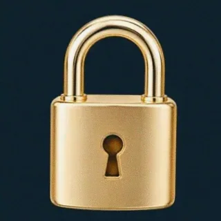 Metal padlock — Wolf Winner