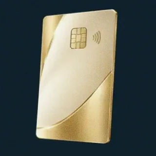 Contactless bank card — Wolf Winner
