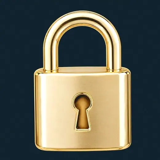 Metal padlock — Wolf Winner